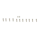 FMS 70MM VIPER 15TH ANNIV. SCREWS SET