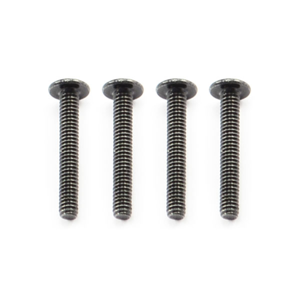FTX OUTBACK BUTTON HEAD SCREW M2*14 (4)