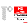 CORALLY TITANIUM SCREWS M3 X 12 MM HEX FLAT HEAD 6 PC