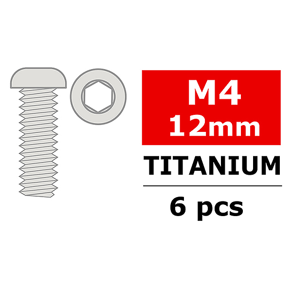 CORALLY TITANIUM SCREWS M4 X 12MM HEX BUTTON HEAD 6 PCS