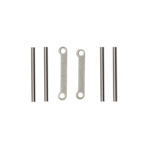 TEAM ASSOCIATED RC24 ZOOM LOWER INNER HINGE PIN SET WITH BRACES