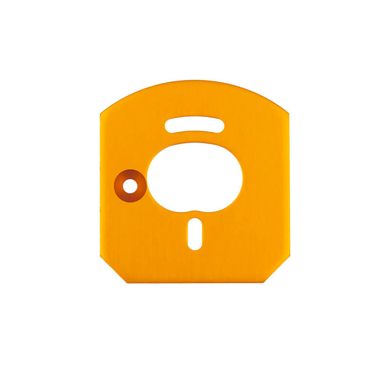 TEAM ASSOCIATED 6x6 MOTOR MOUNT PLATE, GOLD