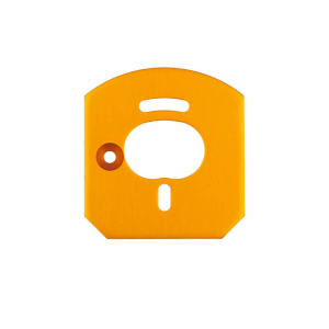 TEAM ASSOCIATED 6x6 MOTOR MOUNT PLATE, GOLD