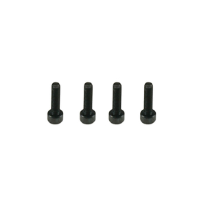 CARISMA MINI 4XS KING PIN SCREW SET