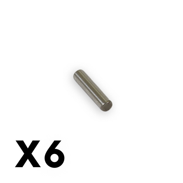 FTX KANYON/MIGHTY PIN (6PCS) 8 x 2