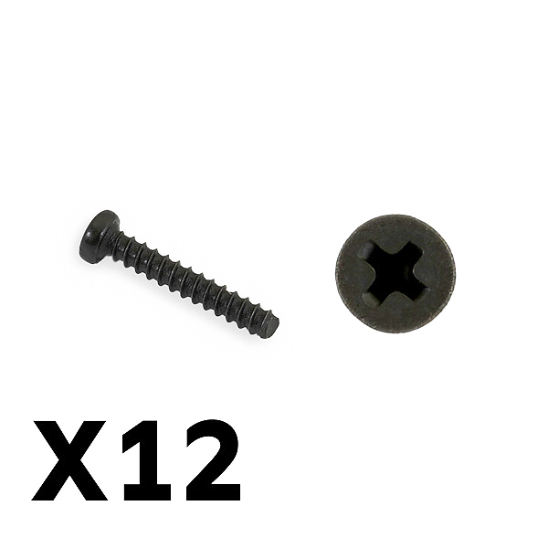 FTX TRACER PAN HEAD SELF TAPPING SCREWS PBHO2*12MM